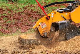 Best Storm Damage Tree Cleanup  in St Albans, WV